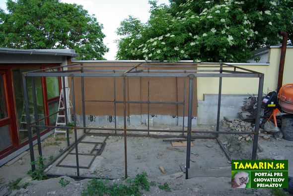 Ubikácia makak rézus 1