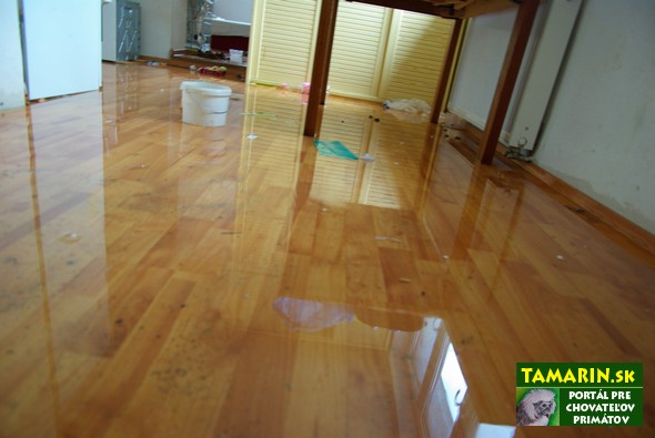Ako si náš makak vyrobil bazén s domu potopa1_jul2011