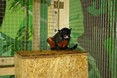 tamarin_cervenobruchy_tamarinsk1.jpg