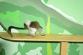 tamarin_pinci_tamarinsk14.jpg