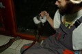 tamarin_pinci_tamarinsk31.jpg