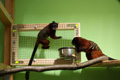 tamarin_sedlovy_tamarinsk17.jpg