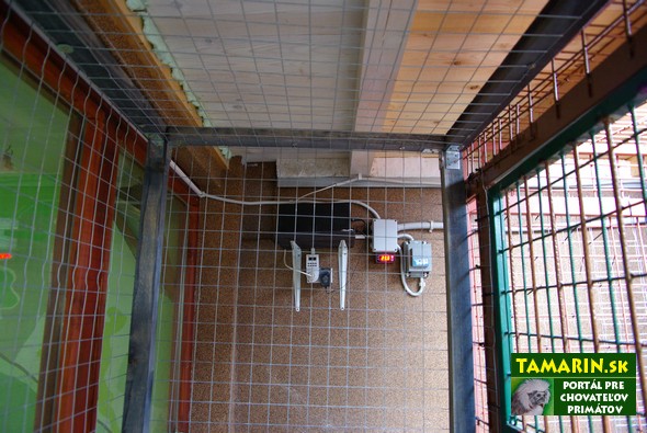 Ubikácia makak rézus Ubikácia makak rézus