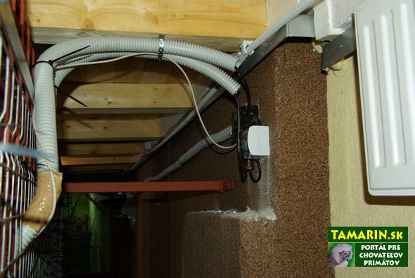 Ubikácia makak rézus Ubikácia makak rézus